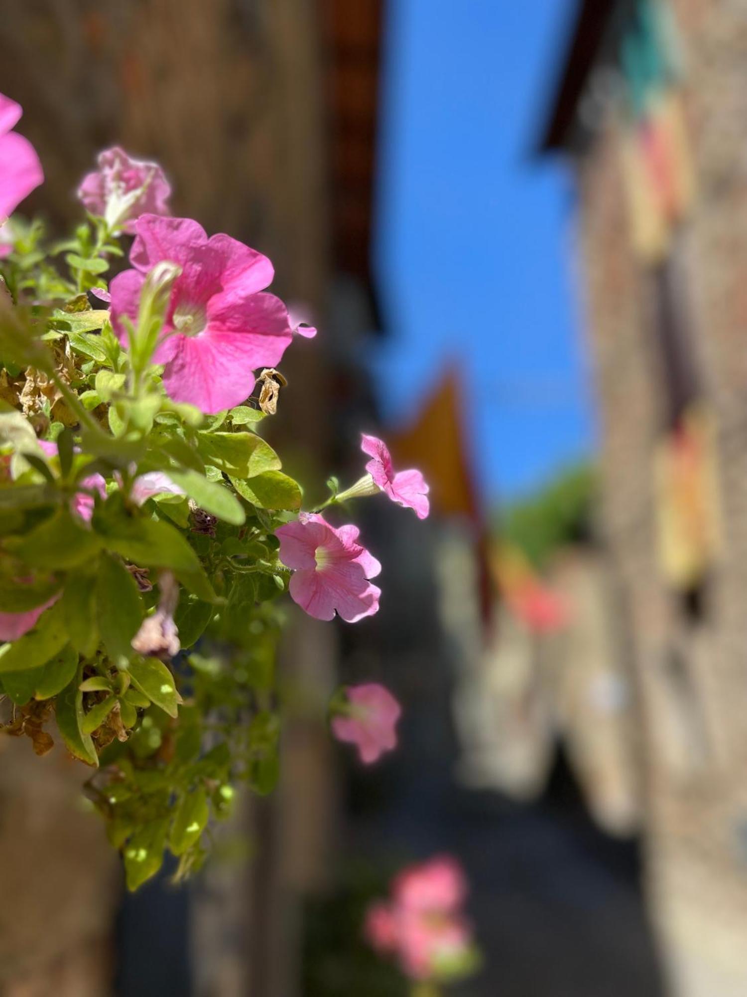 La Casa In Castello Βίλα Ambra Εξωτερικό φωτογραφία